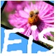 EasyImageSizerv2.1.5