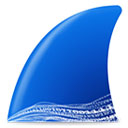 Wireshark最新版v4.4.6